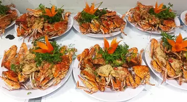 The Mekong Connect